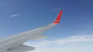 飛行機の翼